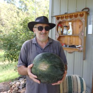 Growing Delicious Summer Vines, Tips for Planting and Caring for Watermelon, Rockmelons, Cucumbers, Squash, and Zucchini